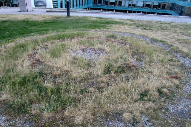 restanten Romeinse toren